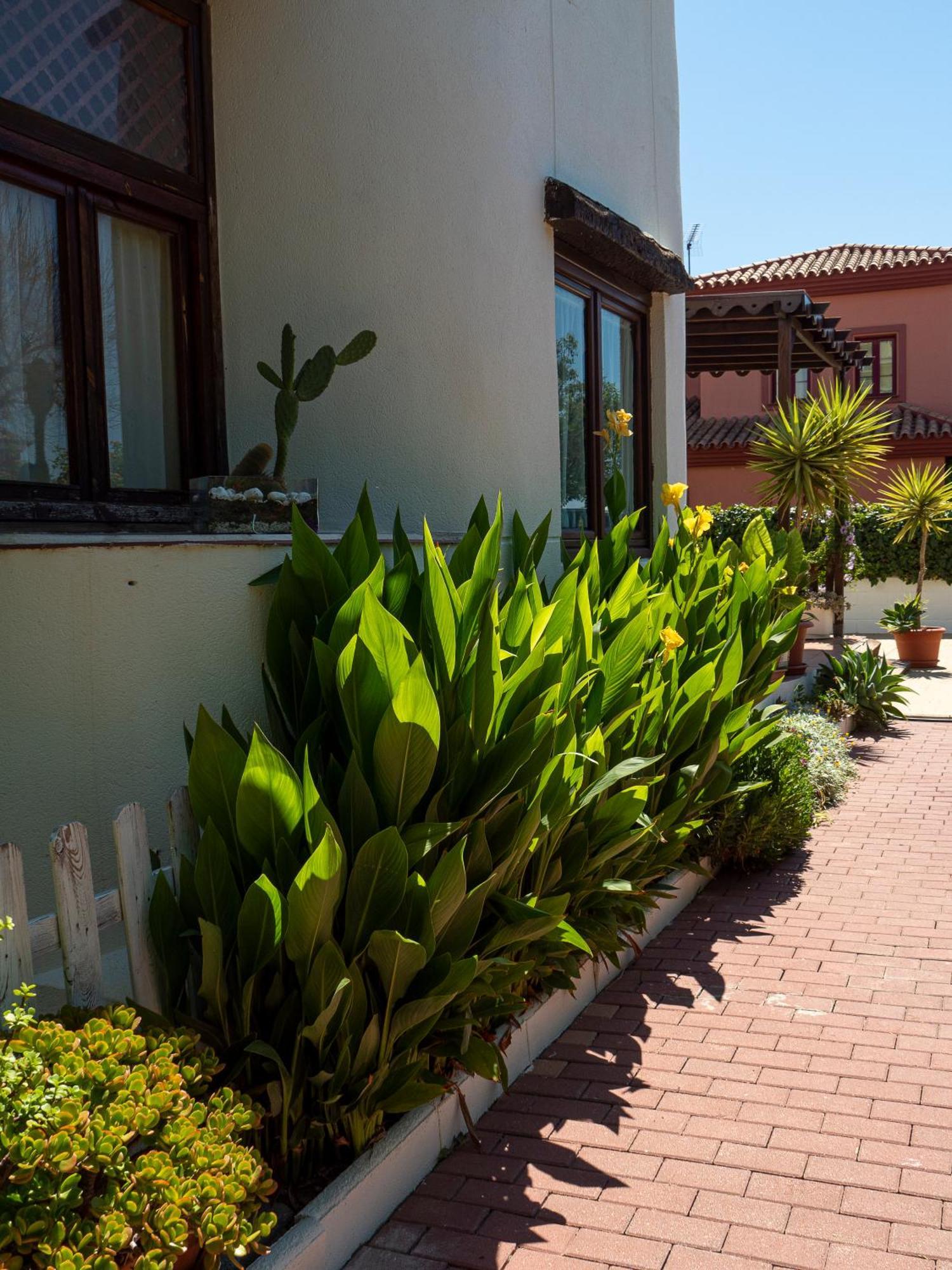 Villa Ibicenca Love Benalmádena Exteriör bild